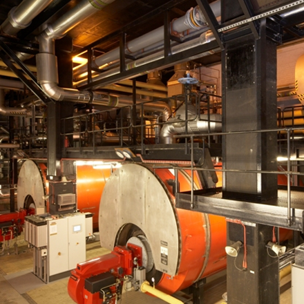 Vital Energi The Natural History Museum Boilers Our Story