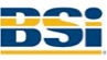 Bsi Logo