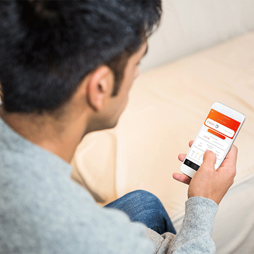 Image For Animation Resized For Web