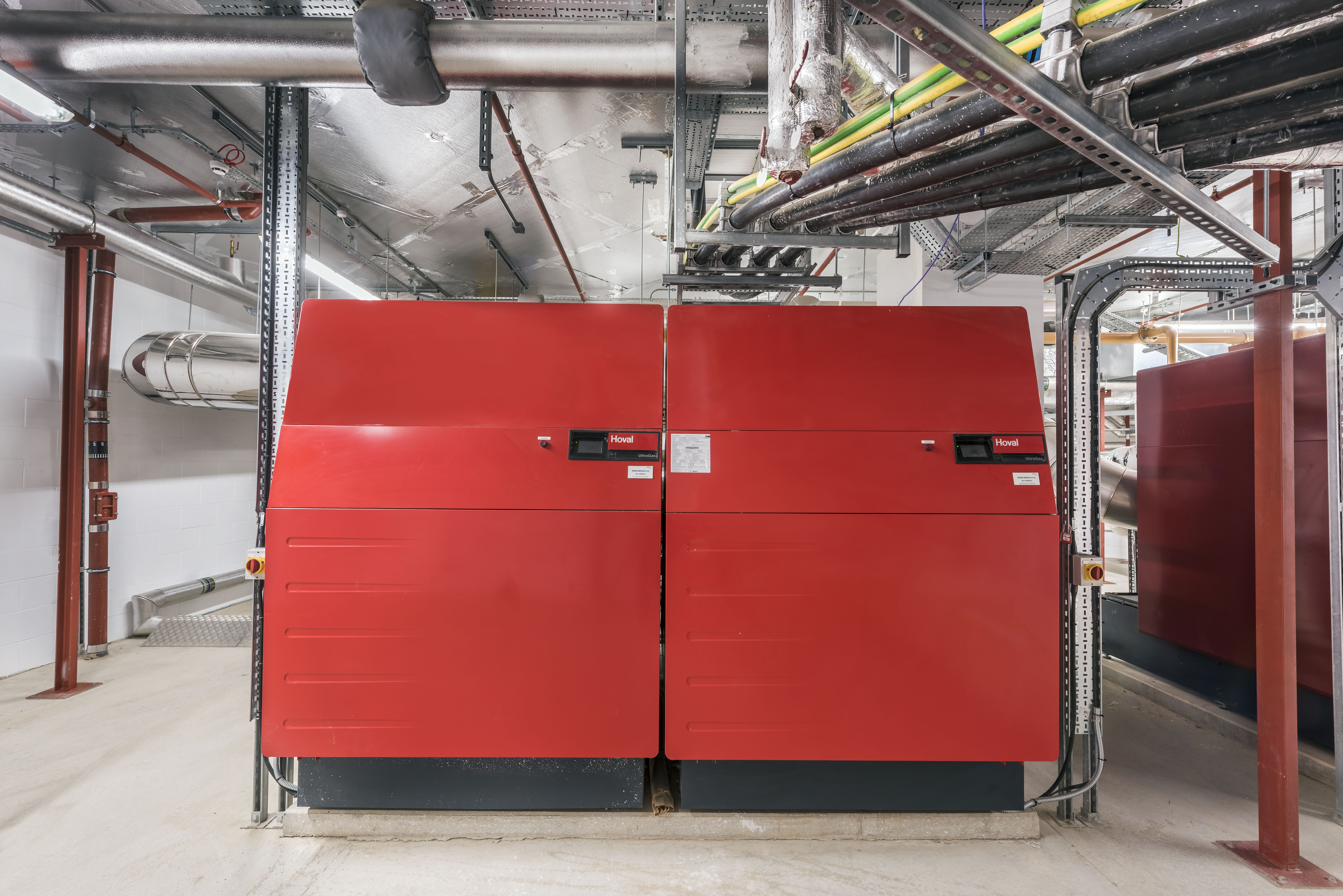 Camden Lock 2019 8959