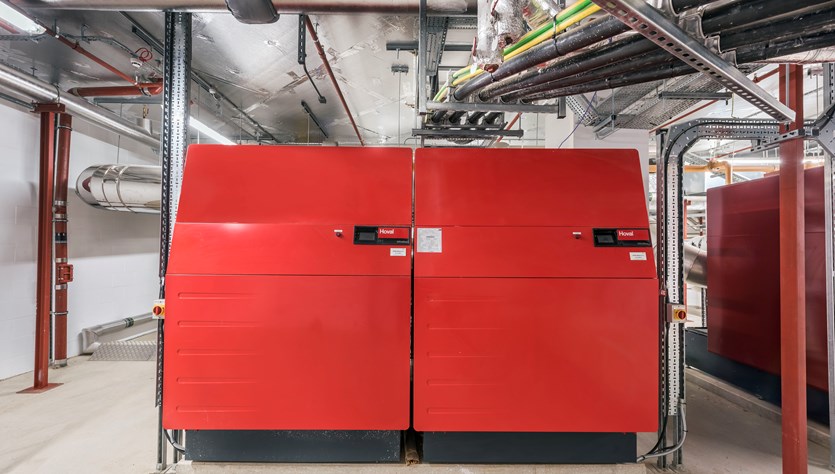 Camden Lock 2019 8959