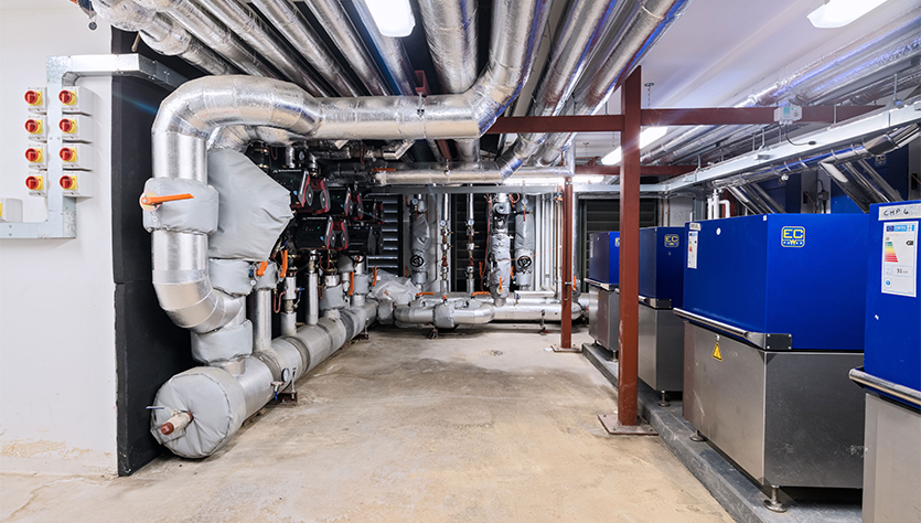 Vital 20210120 Acton0108 Approved SMALL New