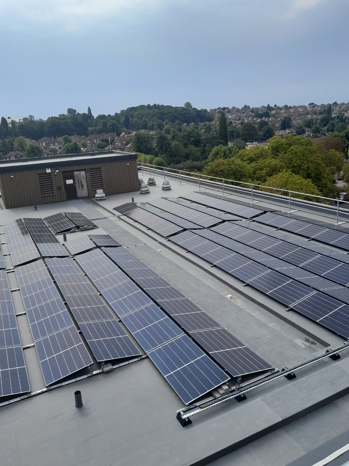 Microsoftteams Image (452)