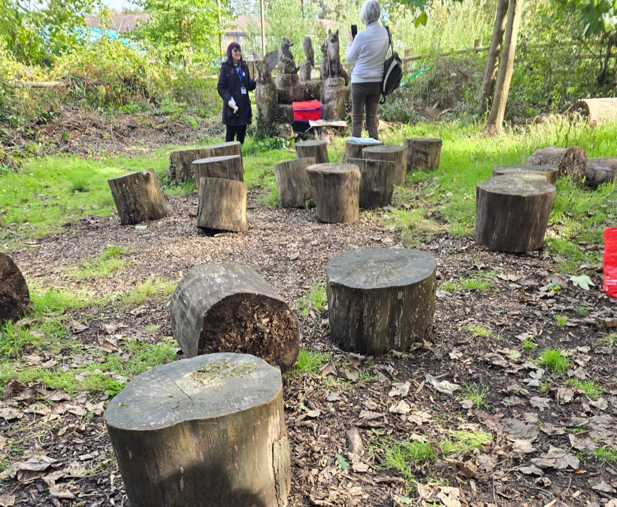 Tree Stumps