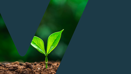 VEUL Annual Report Cover 23 24